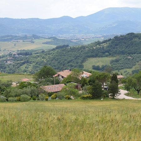 Agriturismo Terra Selvatica ヴァルファッブリカ エクステリア 写真